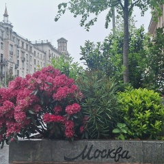 Наталья Ляшенко, 22.06.1985, Москва