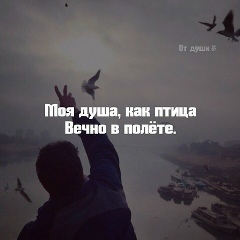 Шохин Исаев, 27.11.1998