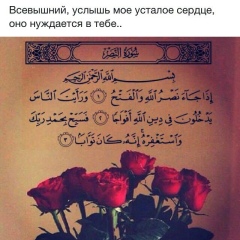 Zair Zarina, Шымкент