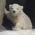 Asick Dautaliev, 15.05