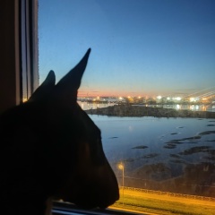 Лев Цуриков, 12.08, Санкт-Петербург