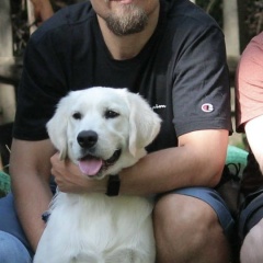 Дмитрий Тарасенко, Ростов-на-Дону