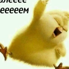 Асел Мураткызы, 09.09.1995, Алматы