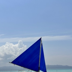 Елена Алексеева, 12.08, Санкт-Петербург