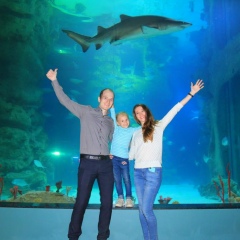 Никита Похадаев, 07.12.1991, Москва