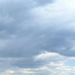 Алексей Савчиц, 18.06, Воронеж