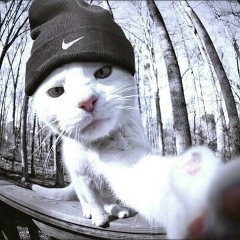 Максим Платонов, 04.06.2000, Москва