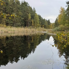 Алекс П, 03.09.1920, Москва
