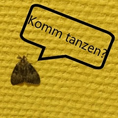 Артем Антипов, 15.02.1989, Омск