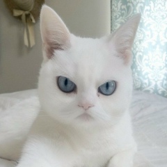 Керимжан Абдикеримов, 15.09.1994, Алматы