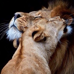 Omar Aristan, Алматы