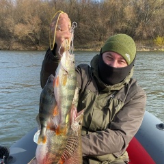 Роман Новиков, 10.02.1988, Воронеж