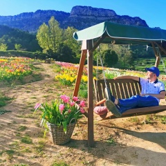 Константин Донецкий, 13.06.1991