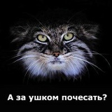 Олег Шинкар, Сумы