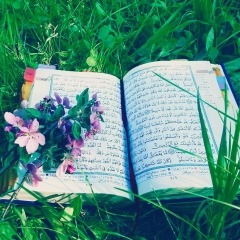 Алтыншаш Кудайбергенова, 24.08.1995, Туркестан