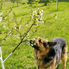 Инна Владимирова, Орёл