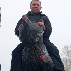 Виталий Коровкин, 31.10.1989, Братск