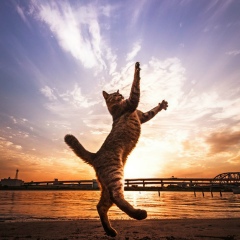 Венера Юсупова, 28.08, Тюмень