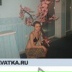 Маша Полищук, 06.06.1990, Харьков
