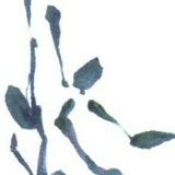 Зоя Маруняк, 12.01.1981, Хмельницкий