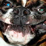 Людмила Миронова, 10.01.1982, Красногорск