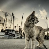 Евгений Сергеевич, 24.11, Находка