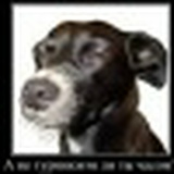 диман d-s, 23.07.1985