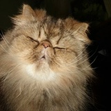 Игрок Старый, Екатеринбург