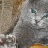 Руслан Смілик, 03.12.1986, Чернигов