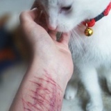 Викуся Котова, 16.11, Калуга