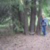 Ирина Нам, 14.05, Томск