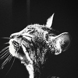 Артем Онищенко, 19.04.1998, Мурманск