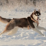 Даниил Орехов, 10.09