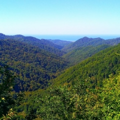 Саша Долгополов, 14.02.1988, Омск