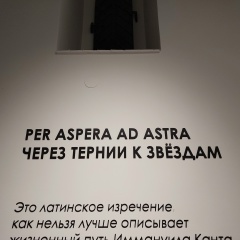 Александр Енько, Санкт-Петербург