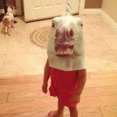 Вася Иванов