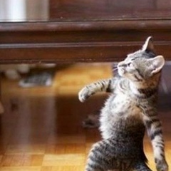 Саша Микитась, 15.10.1924, Киев