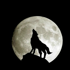 Валидин Мухтаржанов, 06.08.1998, Шонжа