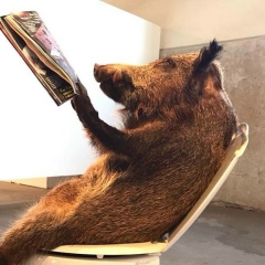 Денис Шильников, 25.12.1987, Санкт-Петербург