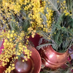 Ольга Бакина, 22.05, Москва