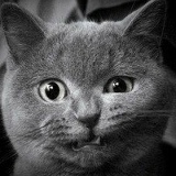 Василий Матушко, 14.01.1990, Шпола