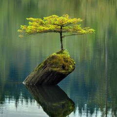 Аян Аянов, 13.12, Алматы