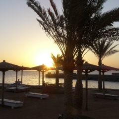 Влада Павлова, 01.04.1986, Пермь