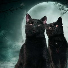 Мария Manul, 26.10.1901