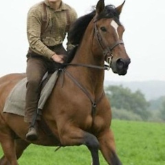 Юрий Лихолет, 20.04.1952, Харьков