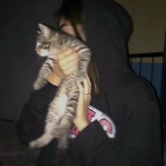 Дина Ибрагимова, 06.05, Бишкек