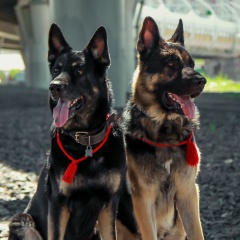 Елена Русланова, 25.01, Санкт-Петербург