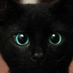 Инна Соловьева, 01.06.1933