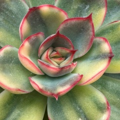 Ольга Акулова, 02.08, Москва