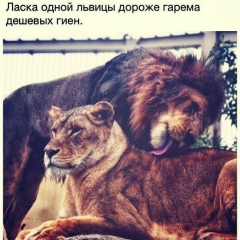 Самад Таваров, 15.08.1987, Тобольск